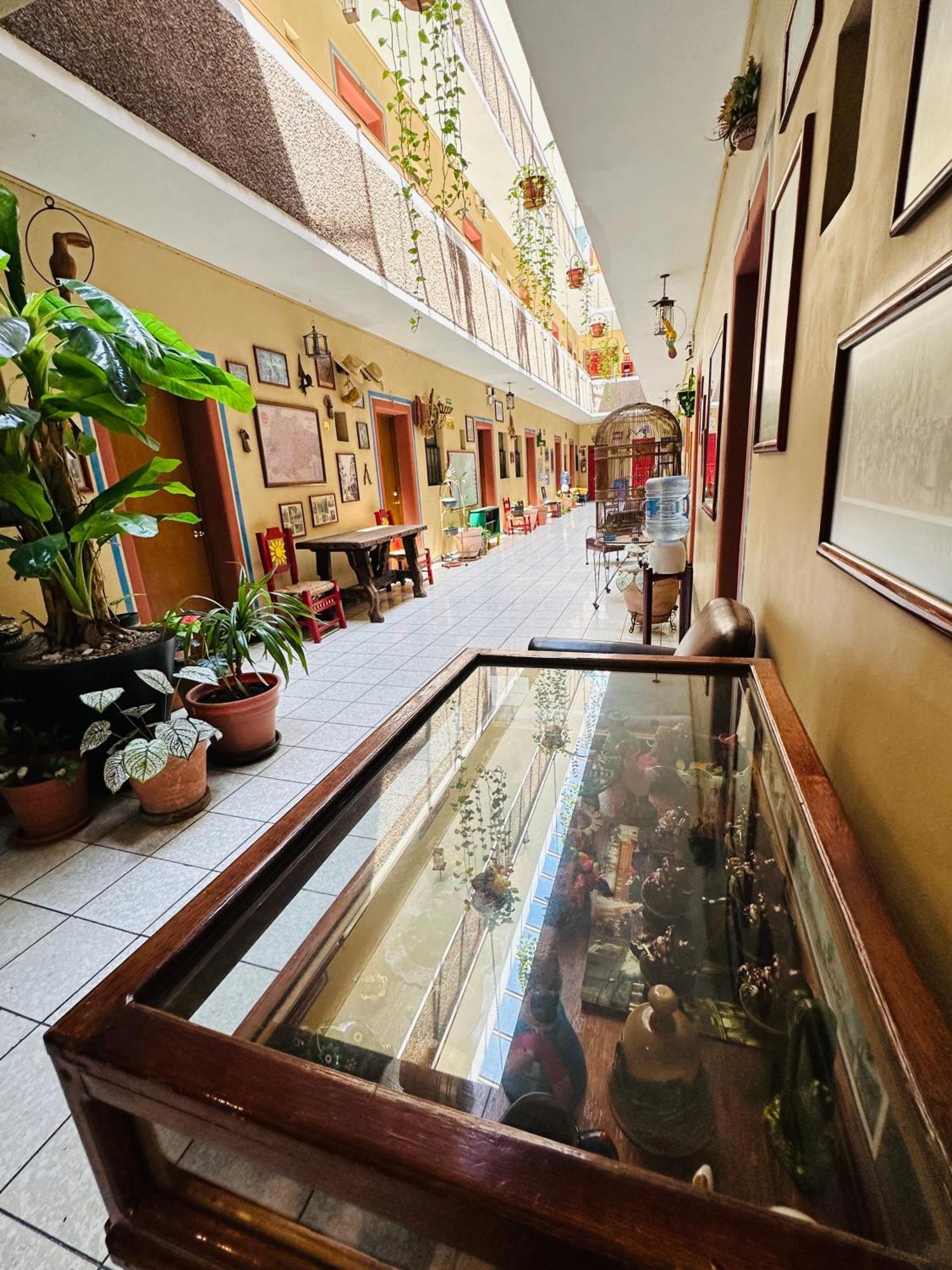 Hotel Janeiro Guadalajara Zewnętrze zdjęcie