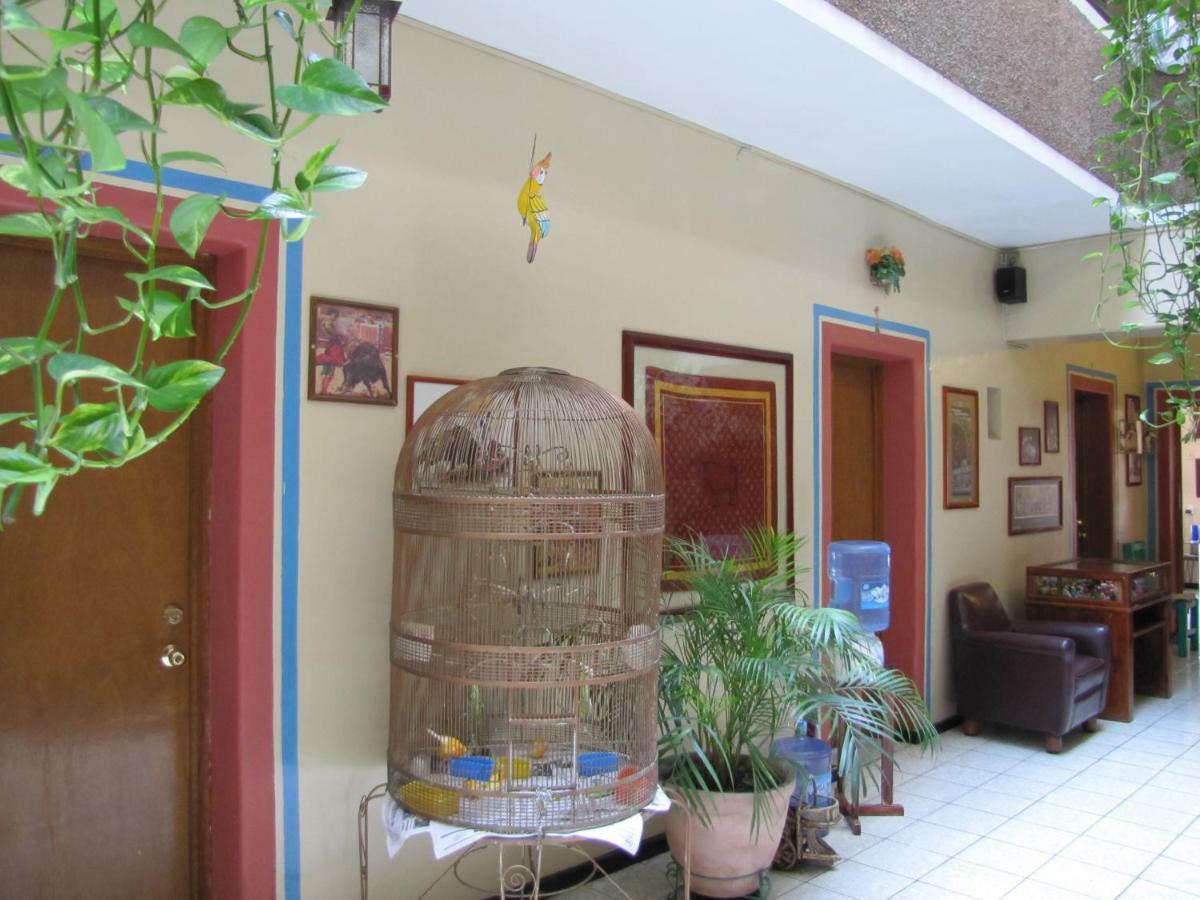 Hotel Janeiro Guadalajara Zewnętrze zdjęcie